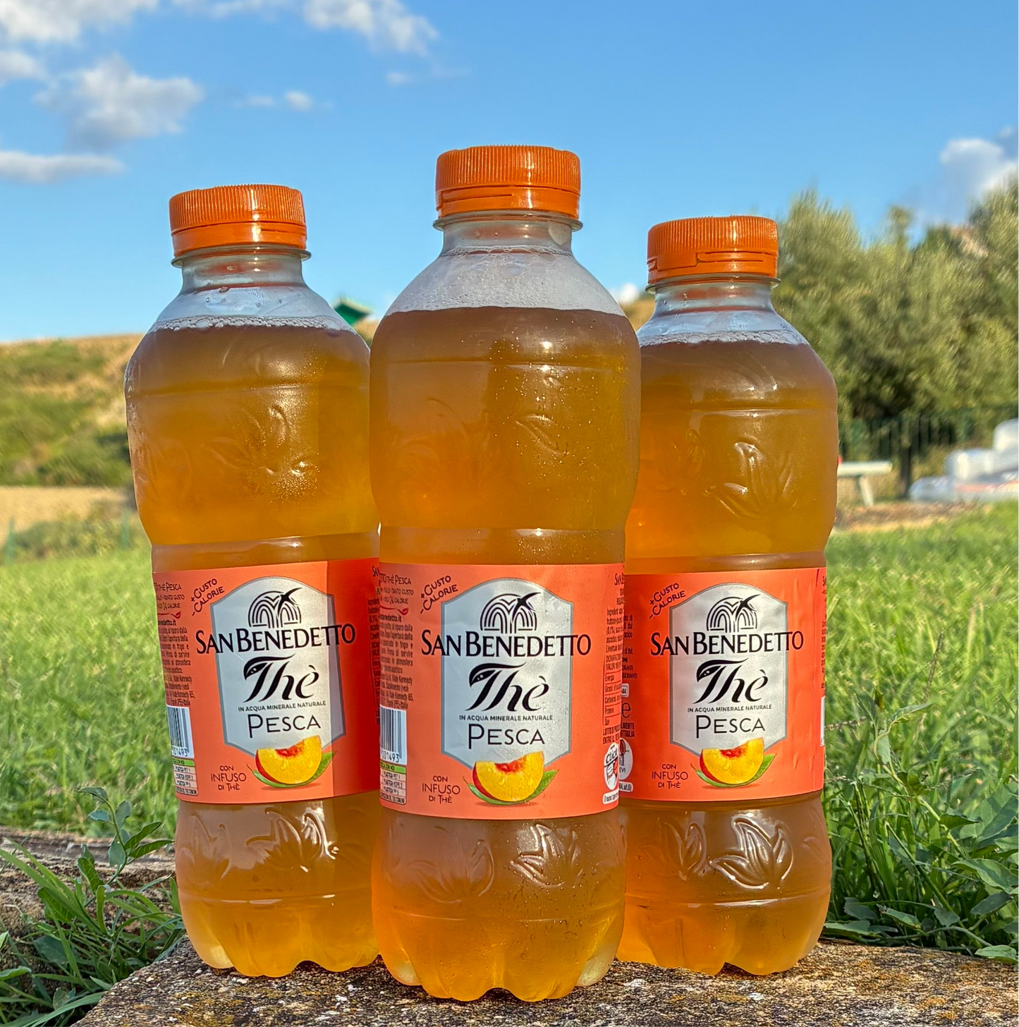 San Benedetto Eistee 0,5 L